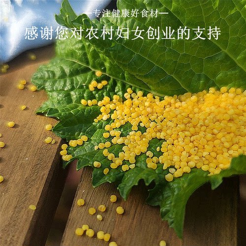 黄小米2025新米沂蒙山农家自种食用五谷杂粮月子米宝宝小黄米500g - 图0