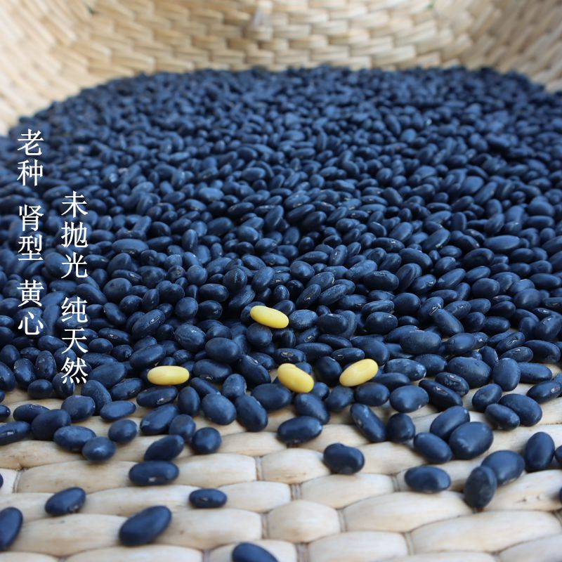 黑豆2023年新货农家自种肾型黄心药用发豆芽专用打豆浆500g - 图1