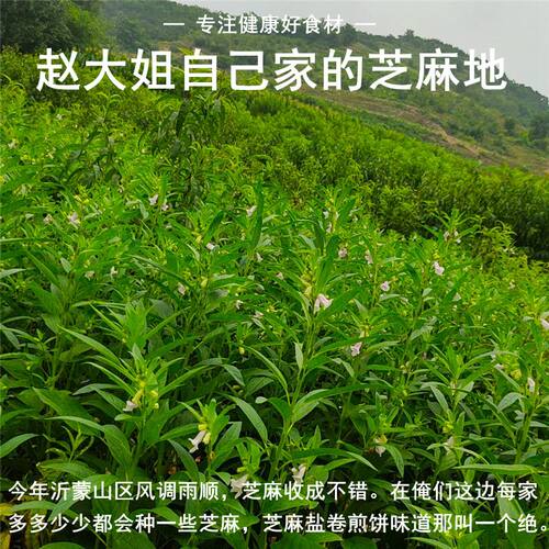 黑芝麻2026年新货农家自种无染色非炒熟粗粮五谷杂粮生黑芝麻500g - 图2