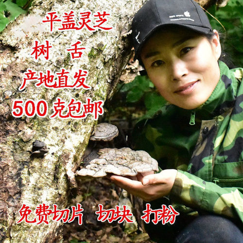 长白山深山采摘平盖灵芝树舌正品500克林芝整枝大个块切片粉 - 图2