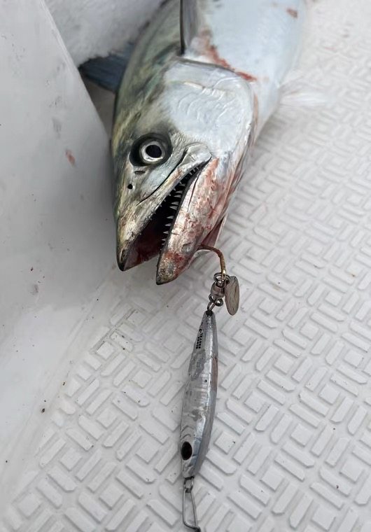 shout铁板带亮片钩铁板抽技铁板鲅鱼铁板马鲛铁板亮片钩铁板饵UV,淘宝优惠券,粉丝福利购,淘宝优惠卷