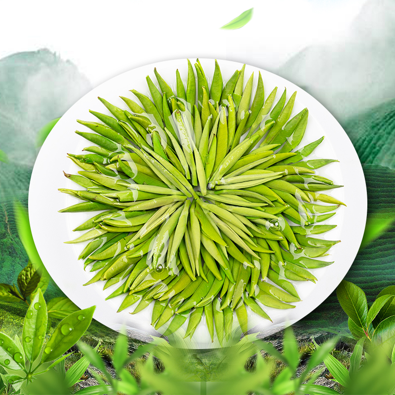 贵州绿茶湄潭翠芽2024新茶特级雀舌明前茶叶独立包装礼盒装240g - 图3