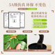 Simulated spherical green plant Banyan tree high-end light luxury