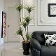 Simulated plant Asparagus tree floor-standing potted indoor large-scale bionic green plant ornaments living room light luxury decorative flower fake tree