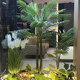 Simulated green plant landscaping combination indoor entrance