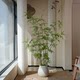 Bamboo large floor-standing potted plant simulated green plant decoration