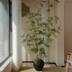 Bamboo simulation green plants indoor guest restaurant balcony fake trees large floor-standing potted plants Song Dynasty teahouse floating branches in ancient style