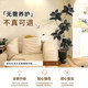 Simulated green plant rubber tree potted plant for living room