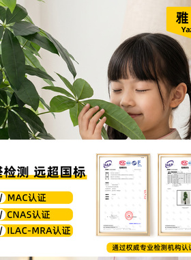 仿真绿植发财树轻奢高端假树盆栽室内家居商铺假植物侘寂落地摆件
