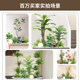Simulated green plant landscaping combination window decoration indoor landscape landscaping under the stairs courtyard layout entrance fake plants