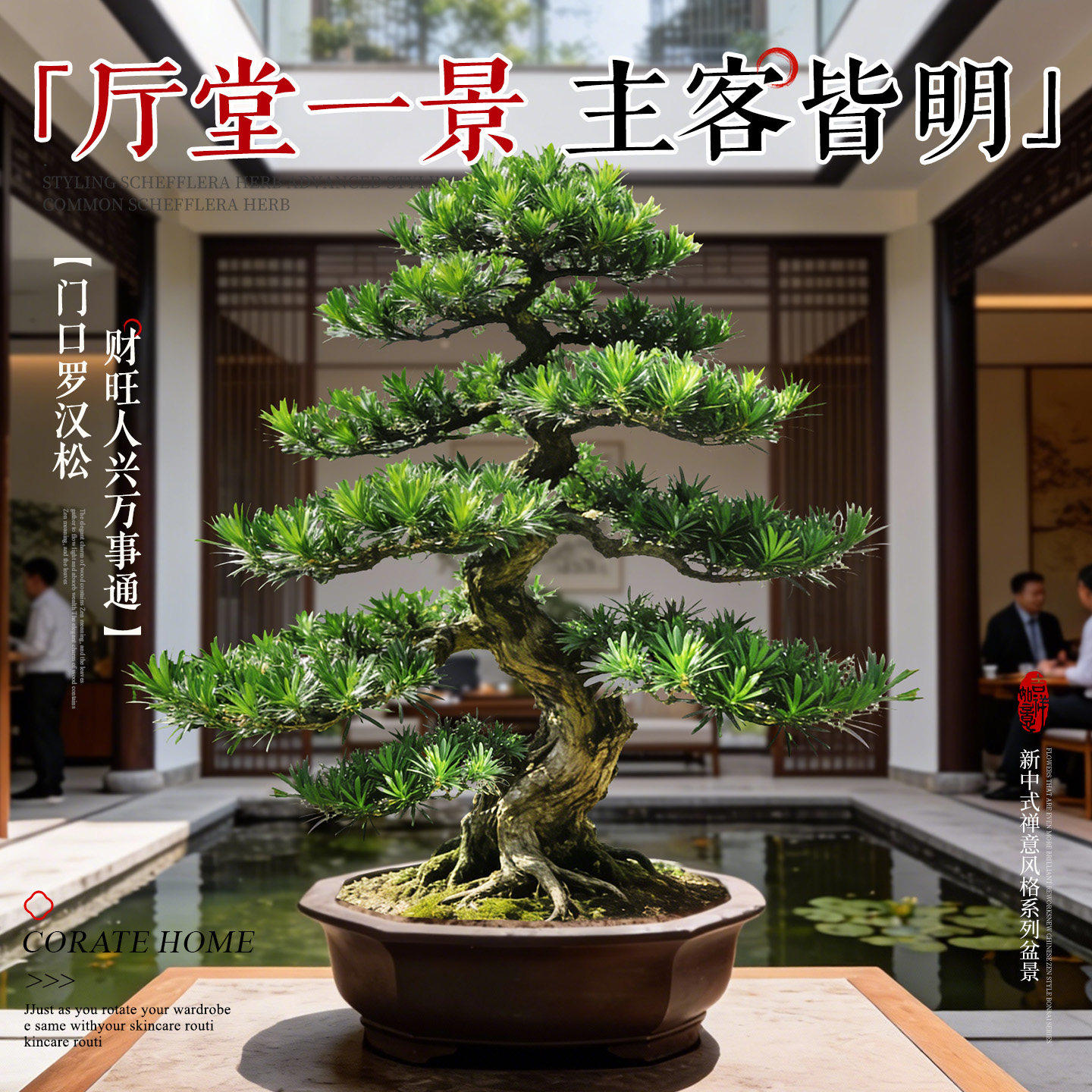 特大罗汉松盆景落地迎客松真树庭院造型老桩旺宅风水树室内外好养,淘宝优惠券,粉丝福利购,淘宝优惠卷