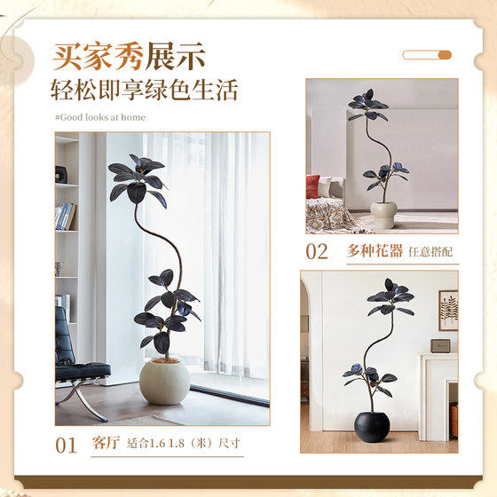 Simulated Black Diamond Rubber Tree Living Room Large Potted Plant Advanced