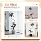Simulated Black Diamond Rubber Tree Living Room Large Potted Plant Advanced