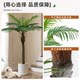 Large high-end light luxury coconut tree simulated sunflower