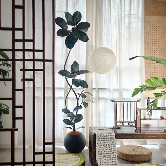 Simulated green plant black diamond rubber tree living room interior