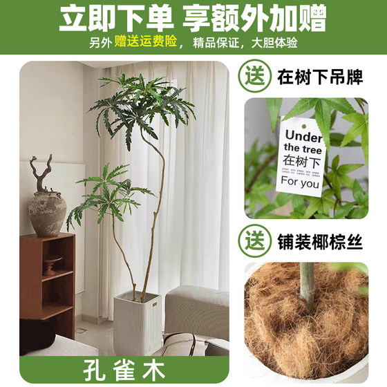 Peacock wood simulated green plants, high-end living room, bionic fake plants, large floor-standing indoor potted plants decorative ornaments