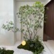 High-end simulated horse drunken wood window landscaping plants, indoor bionic green plants, decorative trees, large artificial trees, simple landscape