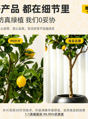 仿真绿植柠檬树高端轻奢假水果树盆栽室内家居客厅电视柜边摆件