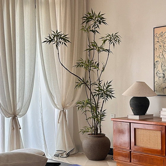Xiaohongshu’s top ten contributions to high-end green plants