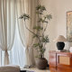 Xiaohongshu’s top ten contributions to high-end green plants