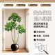 Simulated green plant big leaf umbrella high-end light luxury potted plant office decoration ornaments living room floor-standing bionic fake tree plant