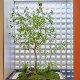 High-end simulated horse drunken wood display window landscaping
