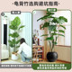 Simulated monstera high-end light luxury fake tree