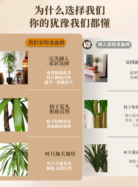 龙须树仿真绿植高端轻奢室内客厅大型落地盆栽植物中古风装饰摆件