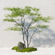 Simple, light and luxurious large simulated nandina bamboo green