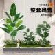 Simulated green plants indoor landscape courtyard cloth