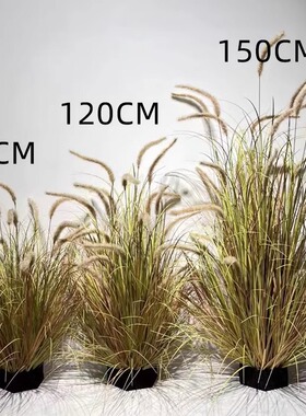 仿真绿植猫尾巴草室内景观绿植造景摆件芦苇盆栽美陈场景花艺装饰