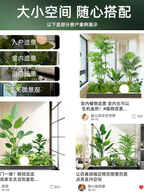 仿真绿植南天竹造景组合橱窗装饰阳台假植物景观玄关室内氛围假树