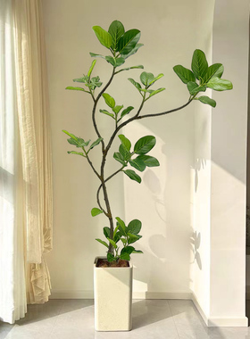 仿真绿植高级感中古风孟加拉榕