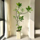 Elegant simulated green plants and large potted plants