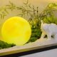Simulated green plant long strip micro landscape entrance entrance landscaping indoor rockery stone teahouse restaurant window small decoration