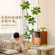 Simulated green plants and golden banyan trees for high-end light luxury customers