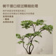 Simulated green plant, chicken claw maple, fake maple tree, simple