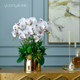 Light luxury orchid living room floor-standing large potted plant TV cabinet