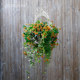 Decoration living room indoor rose hanging basket high-end decorative flowers