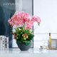 Light luxury orchid living room floor-standing large potted plant TV cabinet
