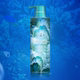 Green Valley Oil Control Anti-Dandruff Seaweed Shampoo