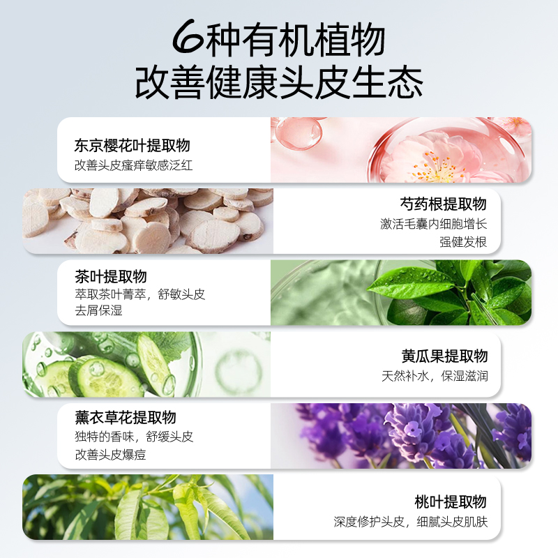 【新品】Aderans爱德兰丝有机头皮磨砂膏深层清洁舒缓去屑控油 - 图2