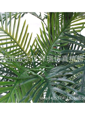 仿真植物树叶1.8米五杆小葵叶过胶棕榈科葵叶细葵叶落地盆景