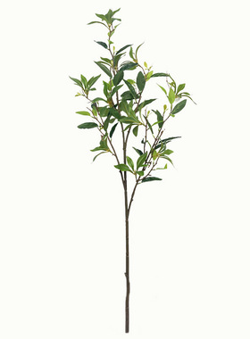 定制仿真马醉木叶绿植假树叶园林工程造景装饰假马醉木叶假吊钟叶