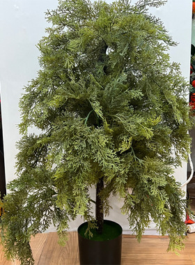 仿真植物柏树盆栽绿植盆栽白树圣诞树园林工程装饰塔型假松柏树