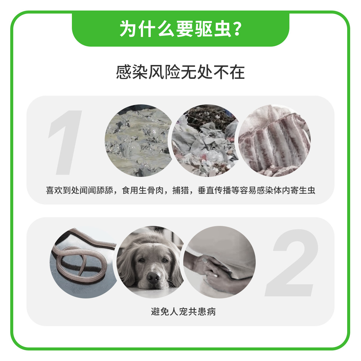 德国拜耳狗拜宠清体内体外狗狗驱虫药体内外一体小中大型犬,淘宝优惠券,粉丝福利购,淘宝优惠卷