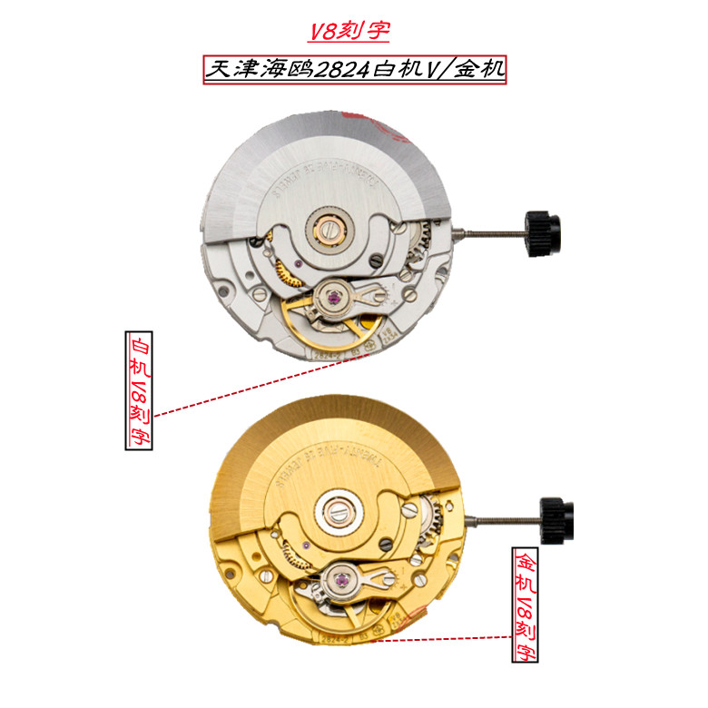 天津海鸥ETA2824/2836/2834机芯 全新ST2130  仿瑞士2824手表配件 - 图0