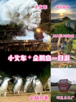 Melbournes Alpha Little Train Penguin Island One Day Tour
