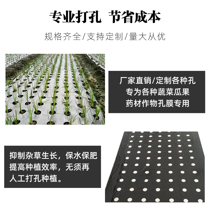 农用黑地膜定制打孔塑料薄膜银黑地膜农用种植蔬菜防草除草开孔膜-图2