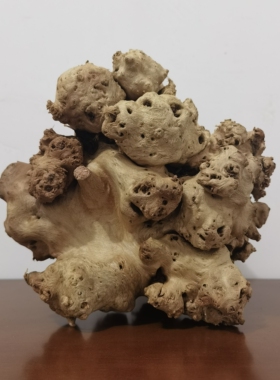 精品风化枯木桌面摆件造景根艺树榴疤茶室装饰家居新中式禅意包邮